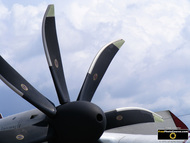 Picture of propellers on the Grumman C2 US Navy aircraft. © 2011, FreePhotoCourse.com, all rights reserved.  Free high-res desktop wallpapers and pictures.  