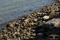 Picture of stony edge of river. Find more cool pictures and wallpapers at FreePhotoCourse.com. © 2011, all rights reserved. 