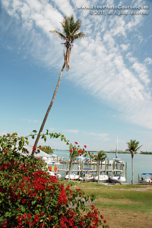 © 2011, www.FreePhotoCourse.com; picture of Cabbage Key Harbour, Florida; example of photography without a polarizing filter.  All rights reserved.  Photo Credit: Stephen Kristof.